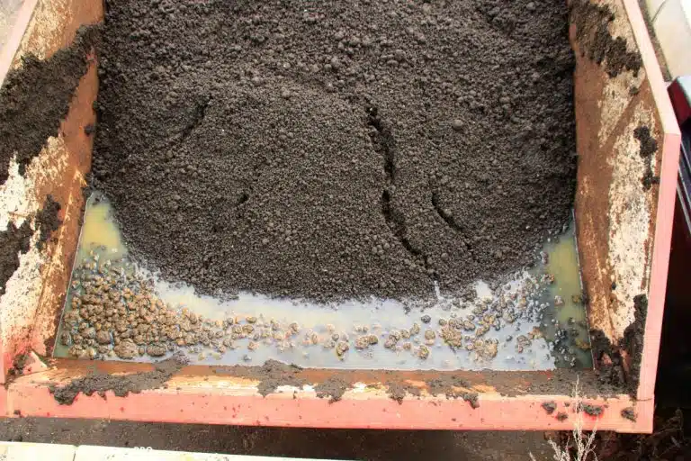 Biogás Lodo Tratamento Esgoto