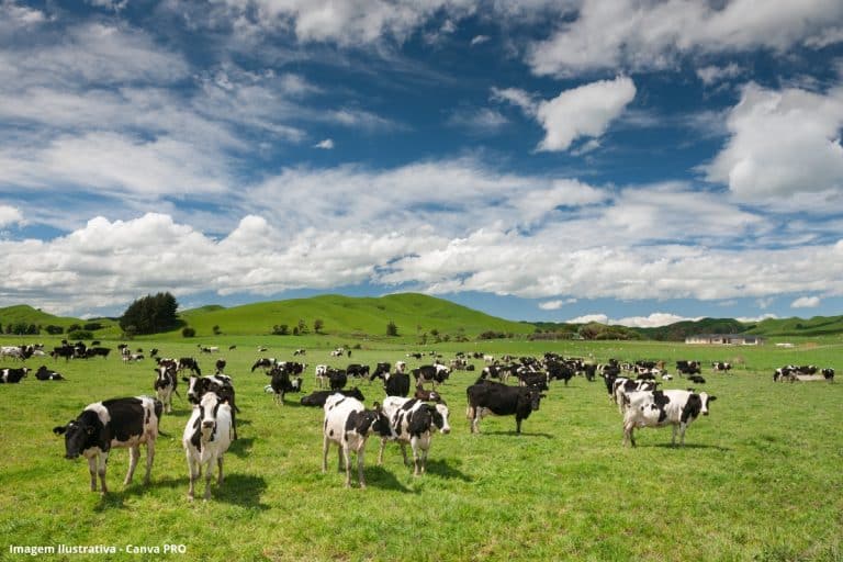 Bioplástico Resíduos Agropecuários