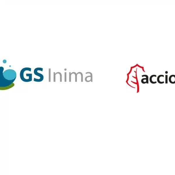 GS Inima Acciona Leilão Cesan