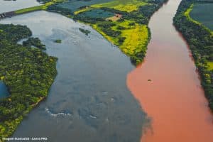 Ecobarreiras Lixo Rio Negro