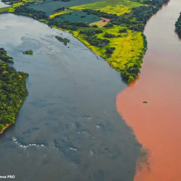 Ecobarreiras Lixo Rio Negro