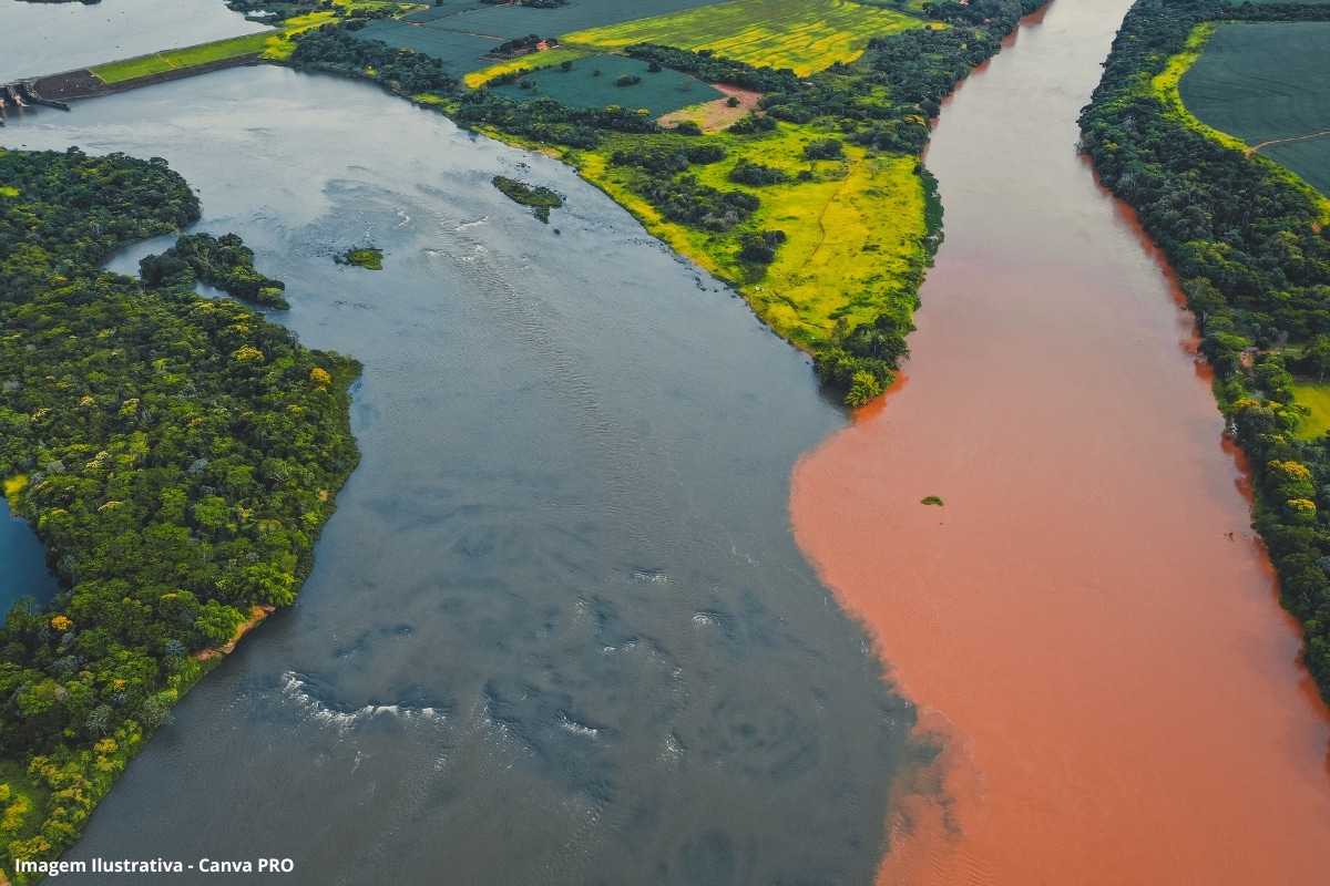 Ecobarreiras Lixo Rio Negro