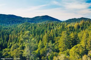 Licenciamento Ambiental Saneamento