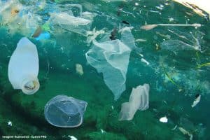 Reciclagem Plástico Desafios Brasil