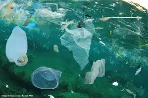 Reciclagem Plástico Desafios Brasil