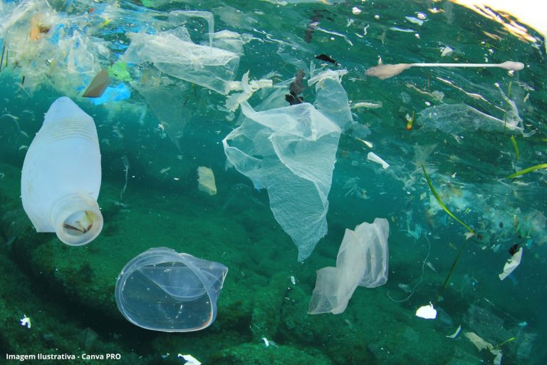 Reciclagem Plástico Desafios Brasil