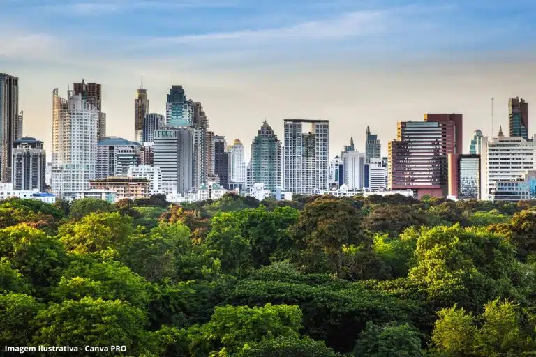 Licenciamento Ambiental Saneamento Responsabilidade