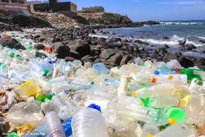 Crise Poluição Plástica