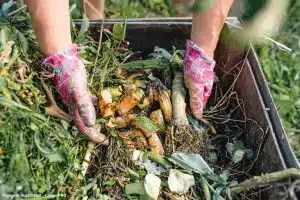 Economia Circular Agronegócio Brasil