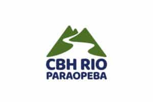 Mortandade Peixes Rio Paraopeba