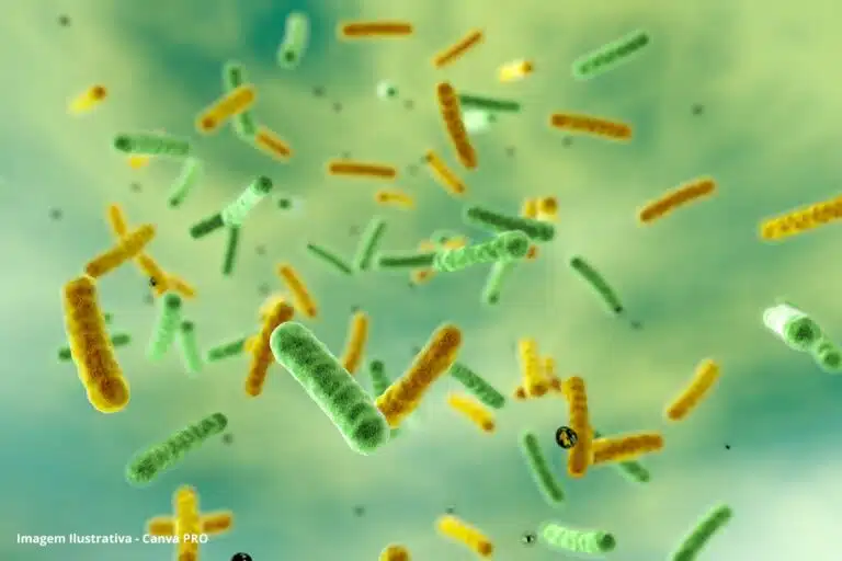 Doenças Idade Média