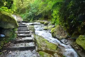 BNDES libera R$ 384 milhões para projeto inovador de captura de CO2 (2)