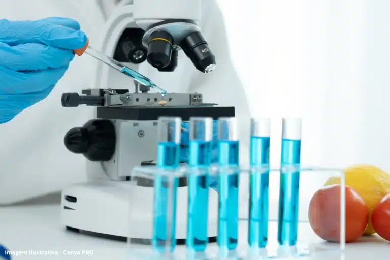 Biossurfactantes a partir de resíduos agroindustriais perspectivas de aplicações em biorremediação