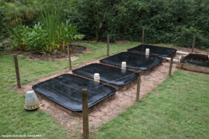 Fossas biodigestoras usam esgoto e resíduos para produzir biofertilizantes