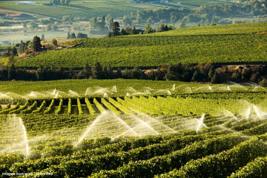 Reúso de água na agricultura