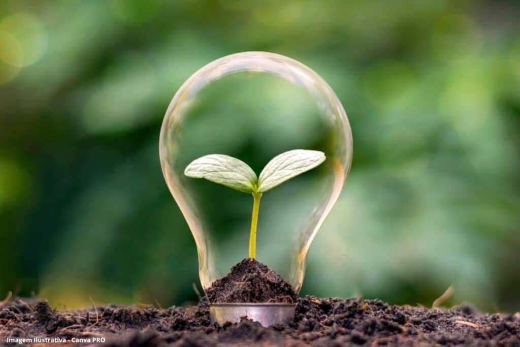 Transparência e ciência desafios e oportunidades da energia limpa
