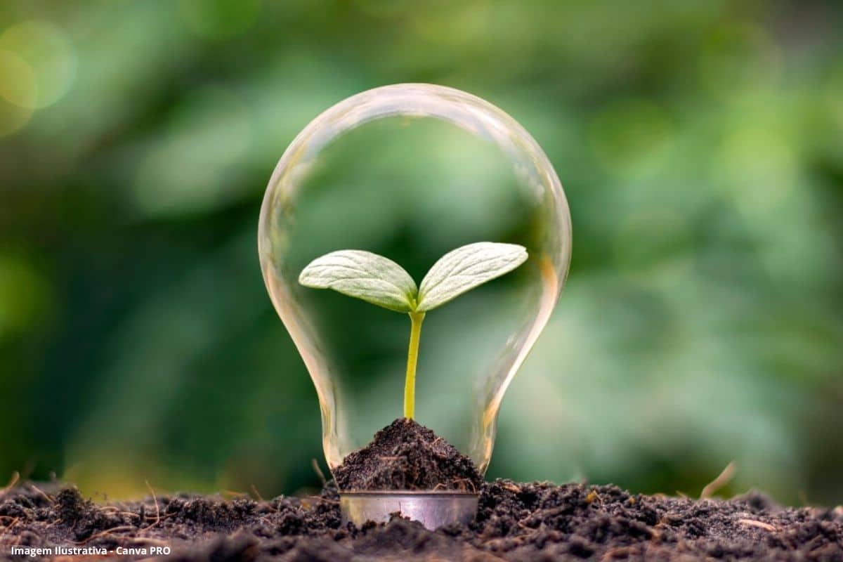 Transparência e ciência desafios e oportunidades da energia limpa