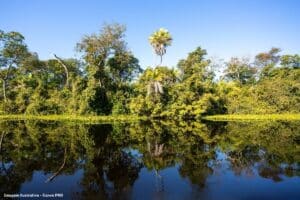 Água tem de estar no centro da governança climática