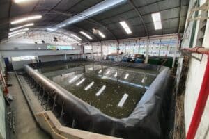 Aplicação de estruturas geotêxteis modulares (GEOXTEEL®) como tanque pulmão em sistemas de tratamento de efluentes estudo de caso em uma ete no interior de são paulo SBV Engenharia Ambiental