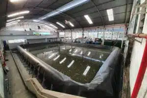 Aplicação de estruturas geotêxteis modulares (GEOXTEEL®) como tanque pulmão em sistemas de tratamento de efluentes estudo de caso em uma ete no interior de são paulo SBV Engenharia Ambiental