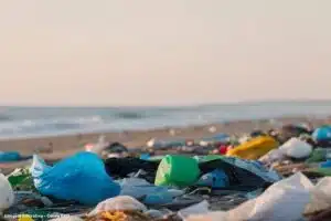 Ibama multa Paraná por poluição no litoral