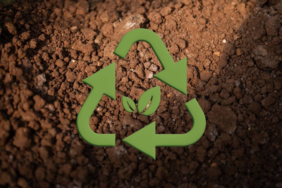 Lodo de esgoto vira biofertilizante no Brasil
