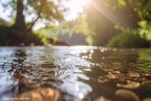 Mata Atlântica tem só 5 pontos de água com qualidade boa