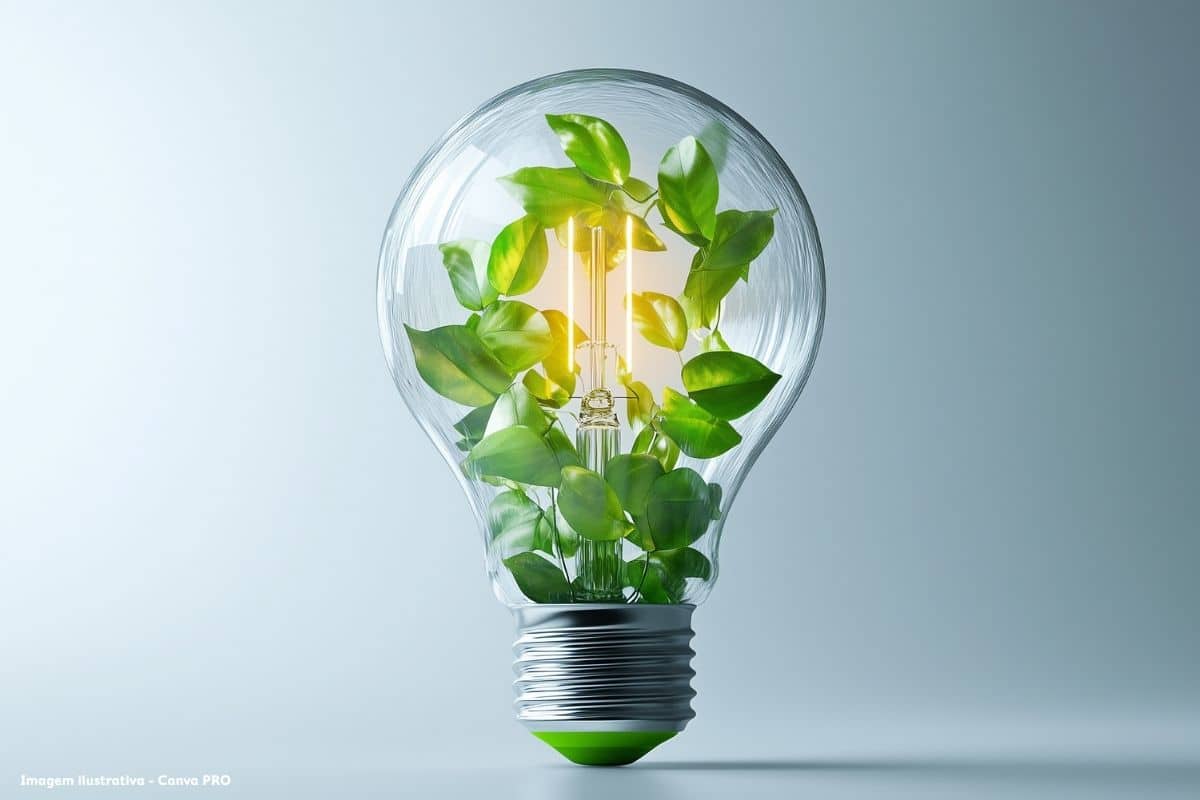 Recuperação energética de resíduos é solução ambiental