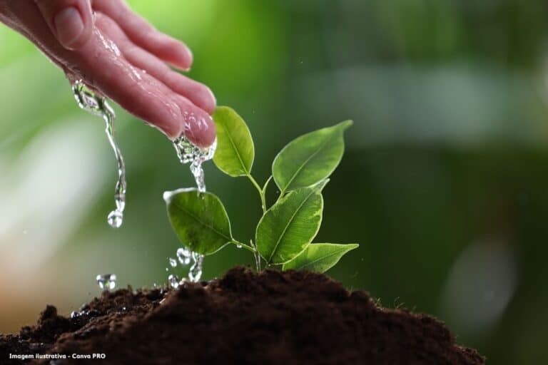 ANA abre chamamento para reconhecer projetos de conservação de água e solo no Programa Produtor de Água (1)