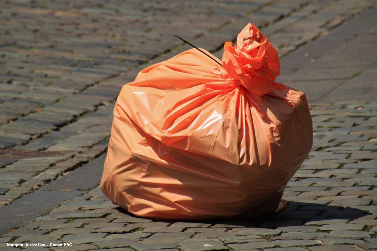 Curitiba usa plantas para criar estação de esgoto 'lixo zero'