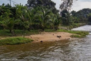 Funasa orienta municípios sobre recursos para saneamento e saúde no Rio