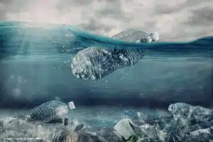 Governo de SP abre consulta pública inédita e lança plano para combater lixo no mar