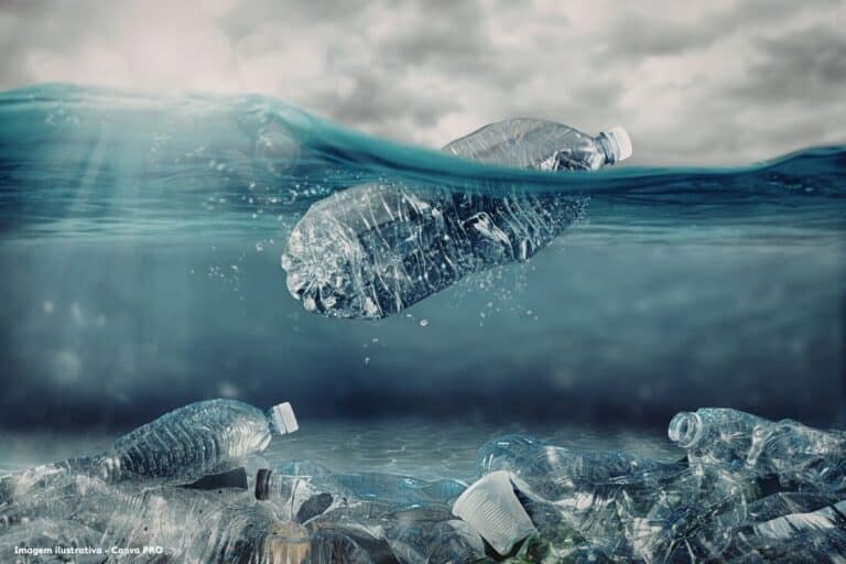 Governo de SP abre consulta pública inédita e lança plano para combater lixo no mar