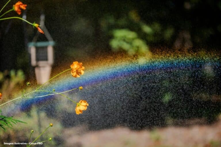 Jardim de chuva marca novo modelo de drenagem sustentável