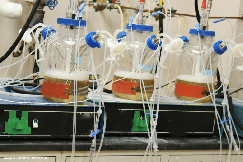 Biorreator criado em laboratório degrada resíduos da indústria de papel e celulose