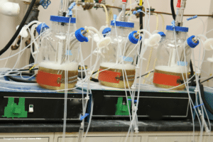 Biorreator criado em laboratório degrada resíduos da indústria de papel e celulose