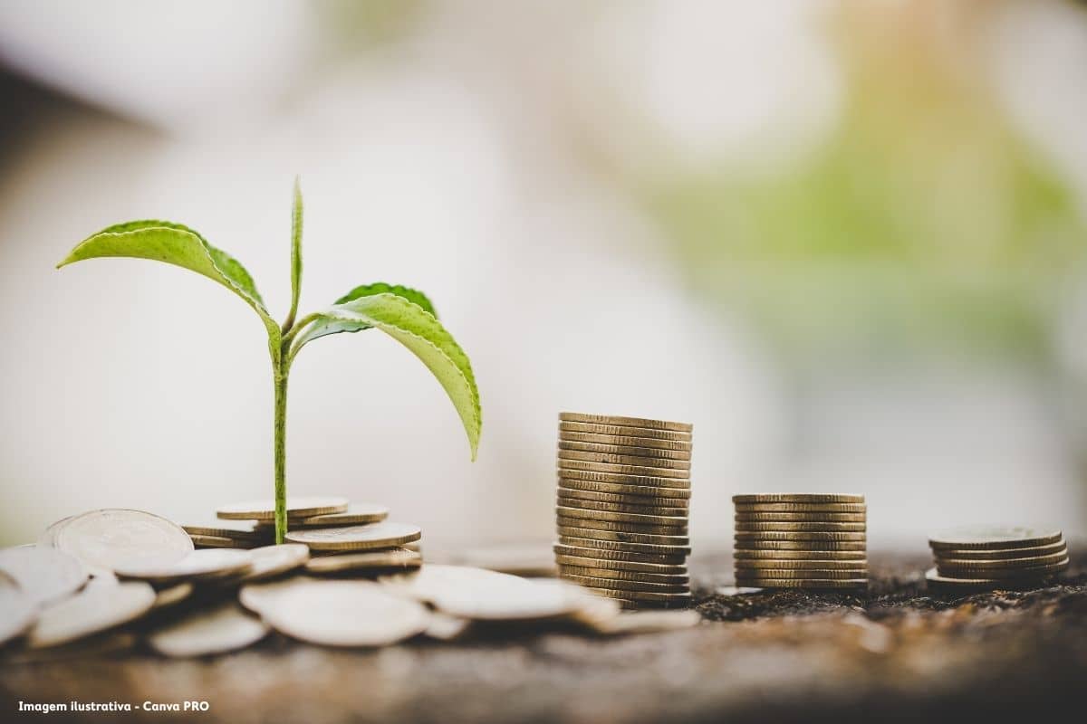 Entenda Com Diego Borges, O Porquê Do Saneamento Básico Ser Um Motor Do Desenvolvimento Econômico