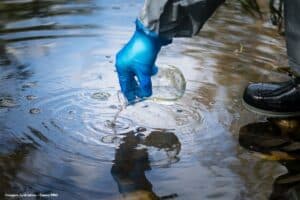 Estudantes brasileiros criam membrana que limpa água contaminada por apenas R$ 0,01 a aplicação, remove óleo, corante, turbidez e microrganismos, pode ser reutilizada 20 vezes e promete levar trat