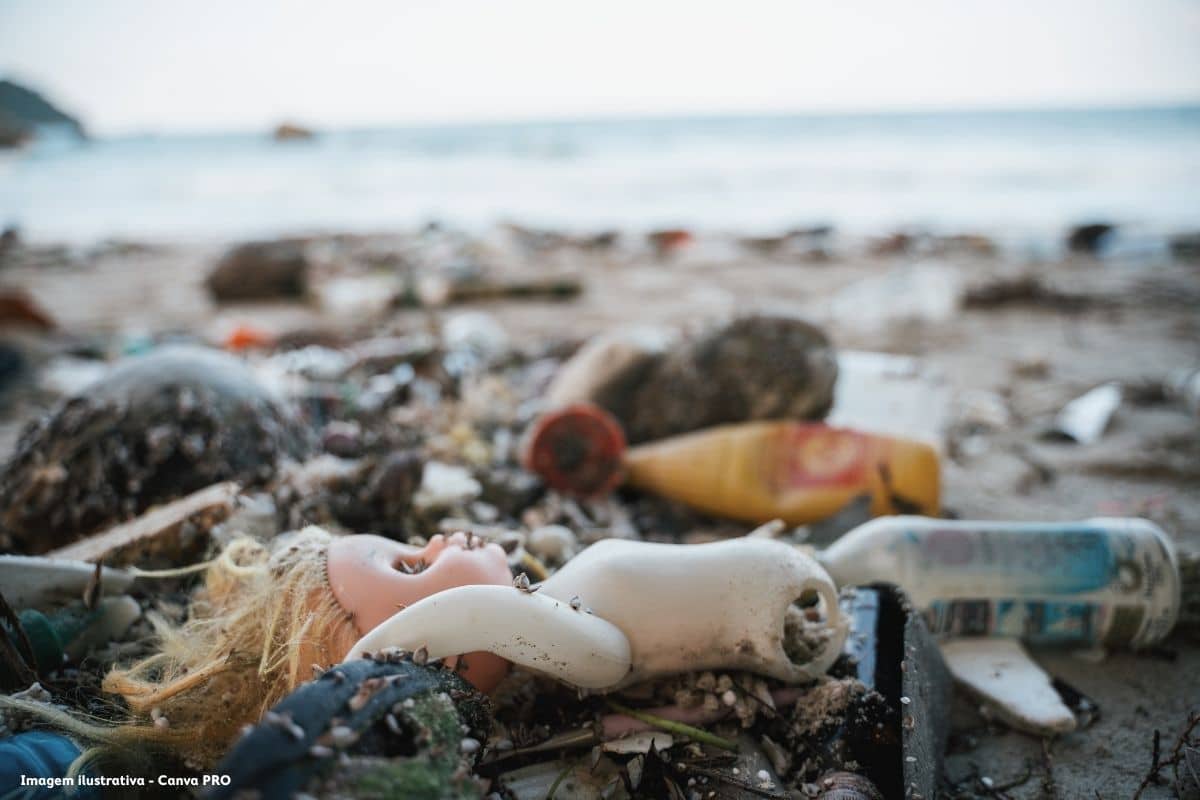 Governo de SP retira mais de 164 toneladas de lixo do mar no litoral paulista