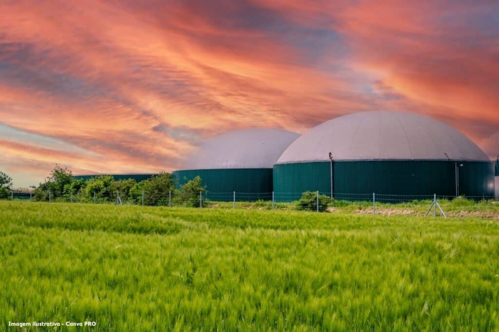 Como Brasil e Europa combatem lixões com reciclagem e biogás