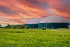 Como Brasil e Europa combatem lixões com reciclagem e biogás