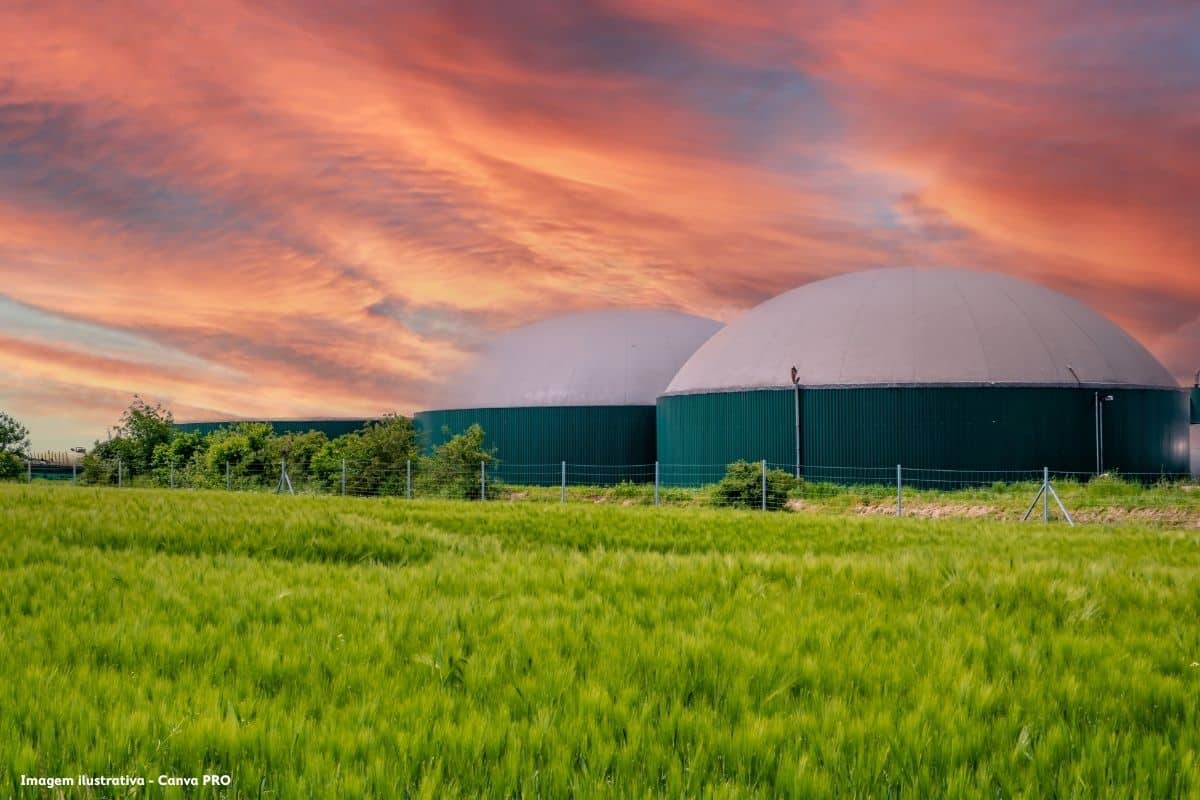 Como Brasil e Europa combatem lixões com reciclagem e biogás