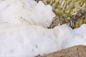 Por que o Rio Tietê amanheceu coberto por uma extensa camada de espuma (1)