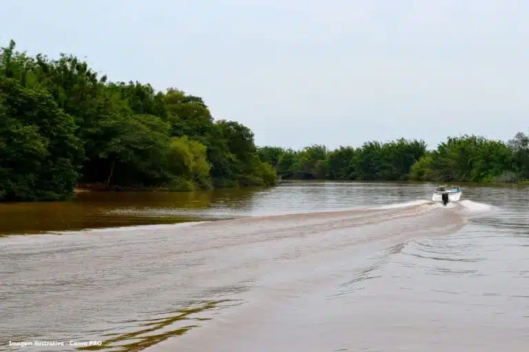 Após temporais de julho, 757 toneladas de resíduos são retiradas das margens do Guaíba, em Porto Alegre