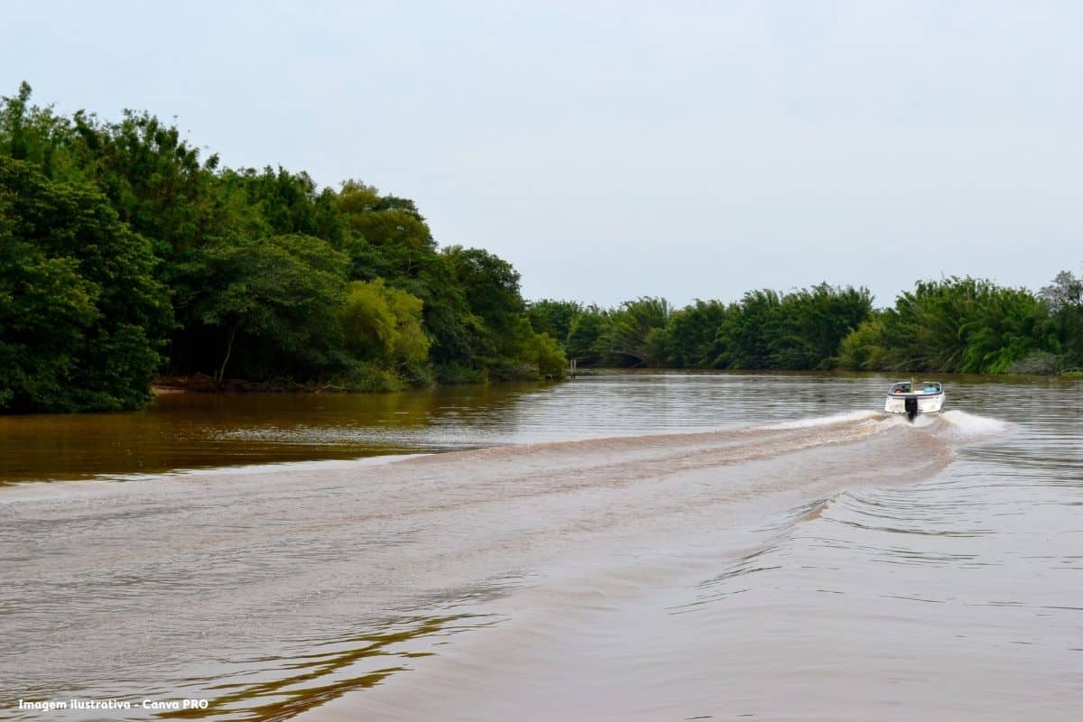 Após temporais de julho, 757 toneladas de resíduos são retiradas das margens do Guaíba, em Porto Alegre