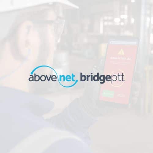 IMAGEM 3 – BRIDGEPTT