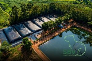 O futuro do desaguamento de lodos como as estruturas geotêxteis modulares estão transformando a gestão de resíduos SBV Engenharia Ambiental