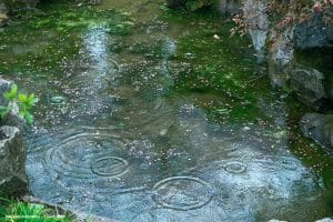 Chuvas na primavera podem limitar recuperação de reservatórios
