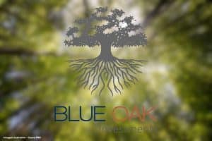 Gestora BlueOak compra concessionária de saneamento da Queiroz Galvão em Goiás