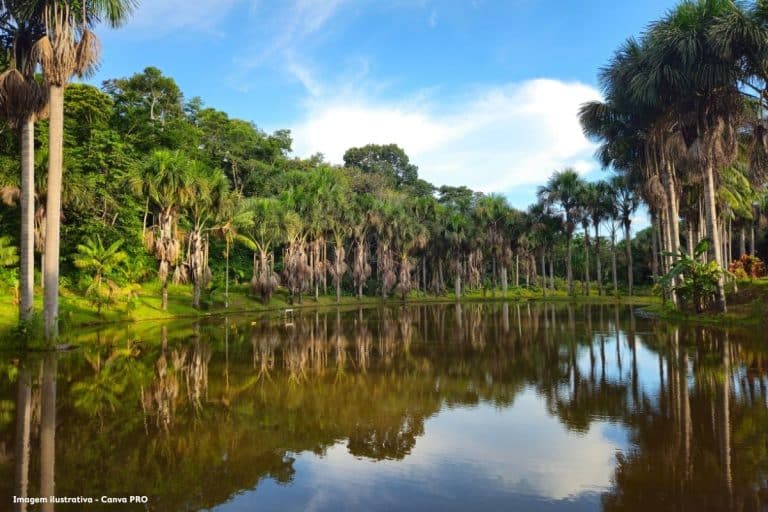 Saneamento na Amazônia pode render R$ 5,10 por R$ 1 investido